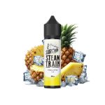 Steam Train Disposable Edition Pineapple Ice 20ml/60ml