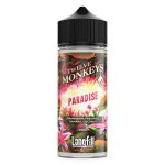 12 Monkeys Oasis Paradise (20ml to120ml)