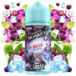 Twelve Monkeys Oasis Haven Iced 20ml/120ml